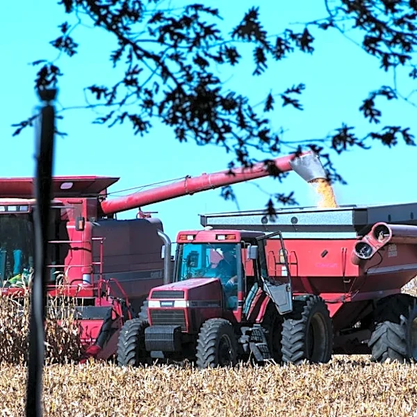 Heavy Rains Delay Soybean Harvest in Midwest