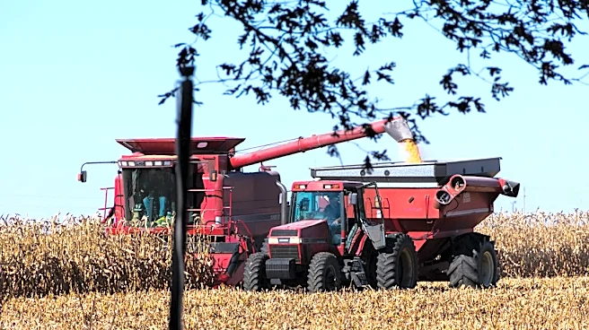 Heavy Rains Delay Soybean Harvest in Midwest