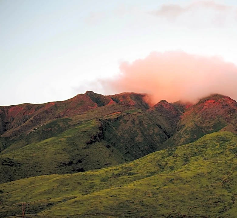 Maui Wildfires Linked to Long-Term Lung Health Risks