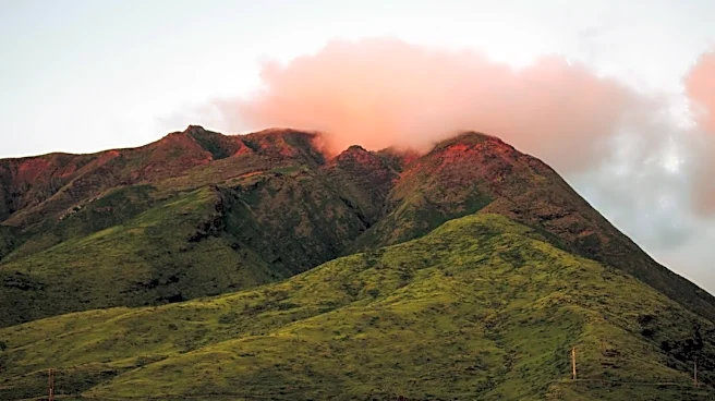 Maui Wildfires Linked to Long-Term Lung Health Risks