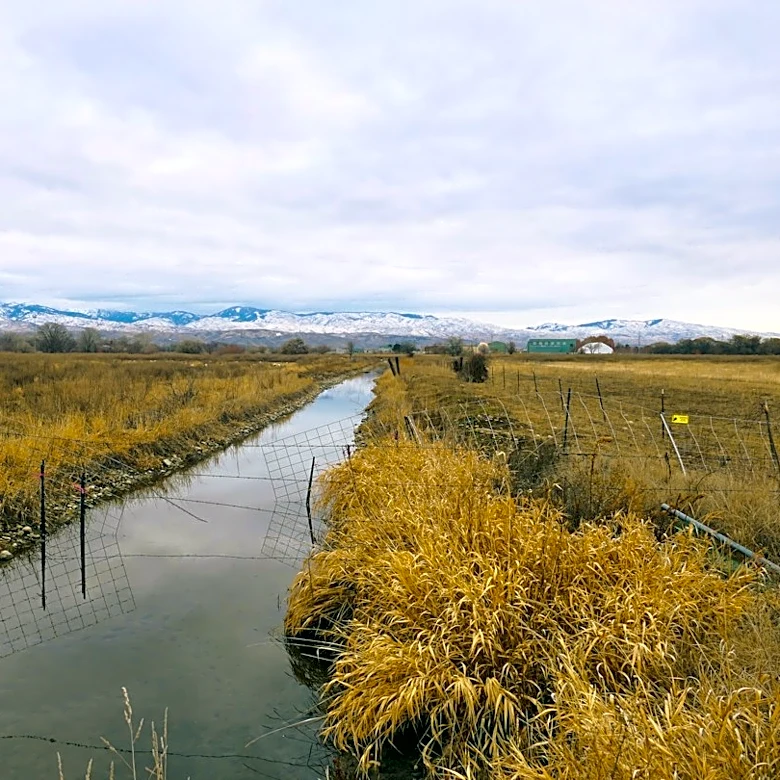 Idaho Snowpack Levels Show Seasonal Decline