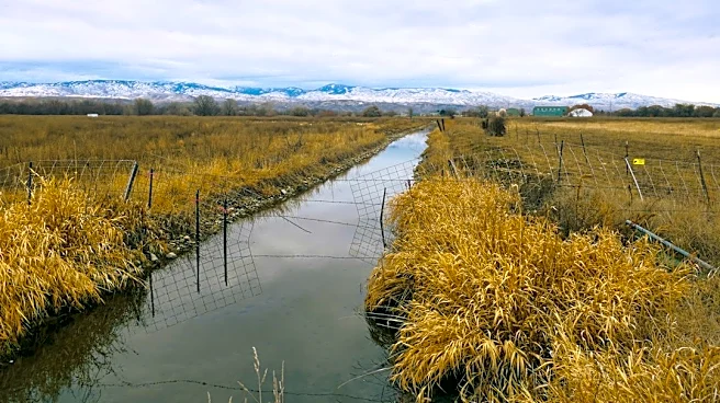 Idaho Snowpack Levels Show Seasonal Decline