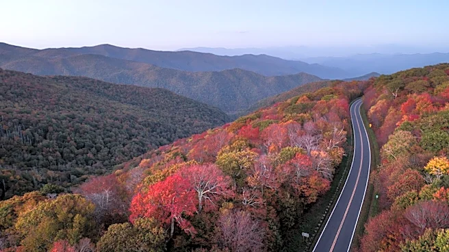 Delayed Fall Colors Expected in Western North Carolina