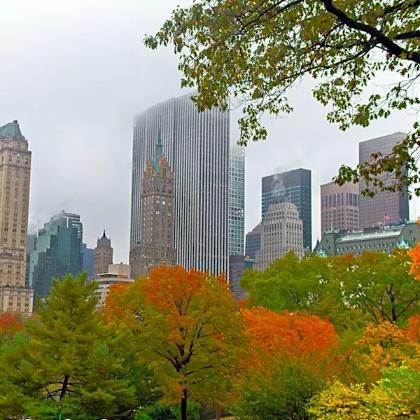 NYC Overnight Low Near 63°F Expected Oct. 1