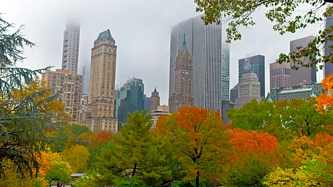 NYC Overnight Low Near 63°F Expected Oct. 1