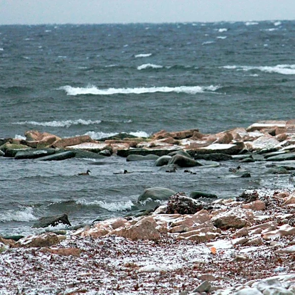 Lake-Effect Snow Hits Great Lakes Region