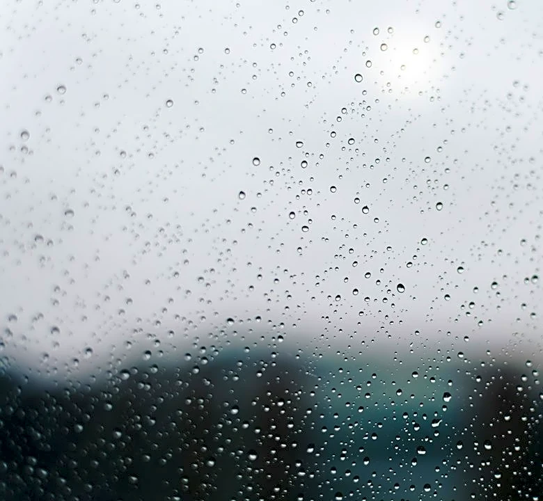 Rain and Clear Skies Expected in Summerville This Week