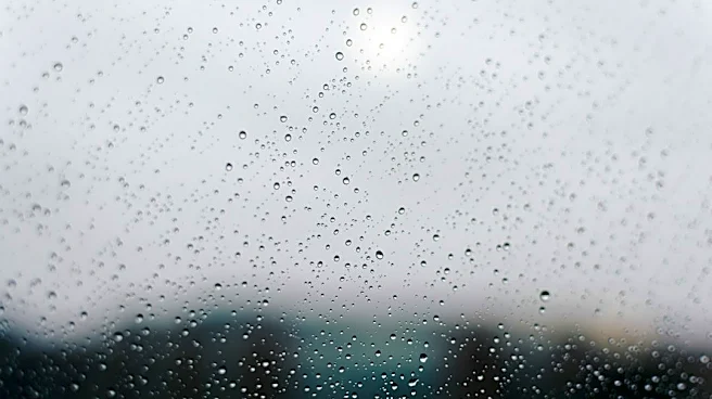 Rain and Clear Skies Expected in Summerville This Week