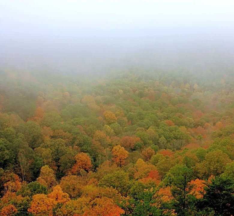 Foggy Fall Conditions Pose Risks in Tennessee
