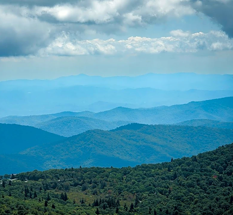Mosquito Season in North Carolina Ends After First Frost