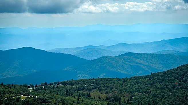 Mosquito Season in North Carolina Ends After First Frost