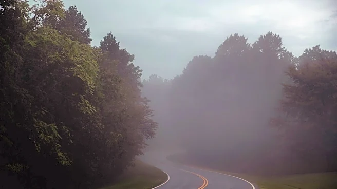 Fall Transition Brings Dangerous Fog to Nashville