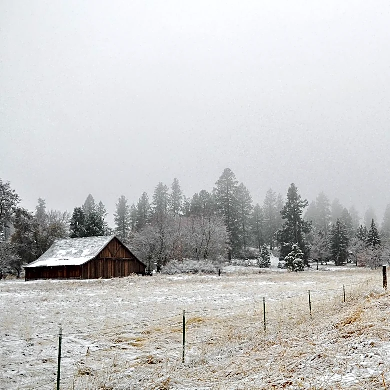 Frost Advisory in Spokane Before Gradual Warm-Up