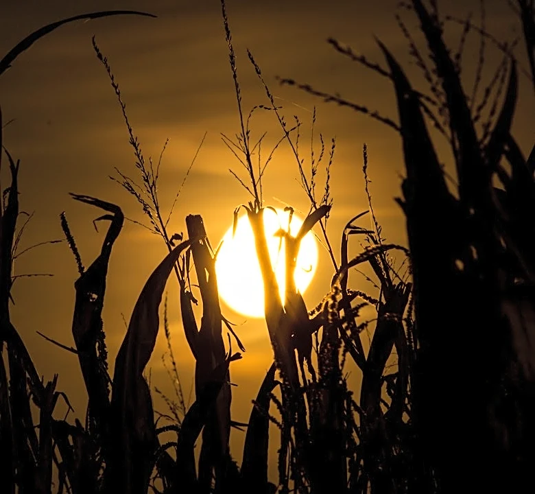 Nebraska Faces Long Recovery After Historic Wildfires