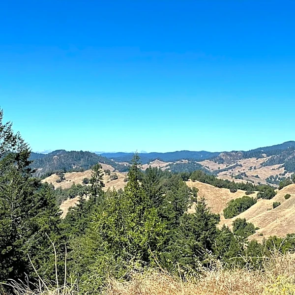 Northern California to See Hot Weekend Ahead