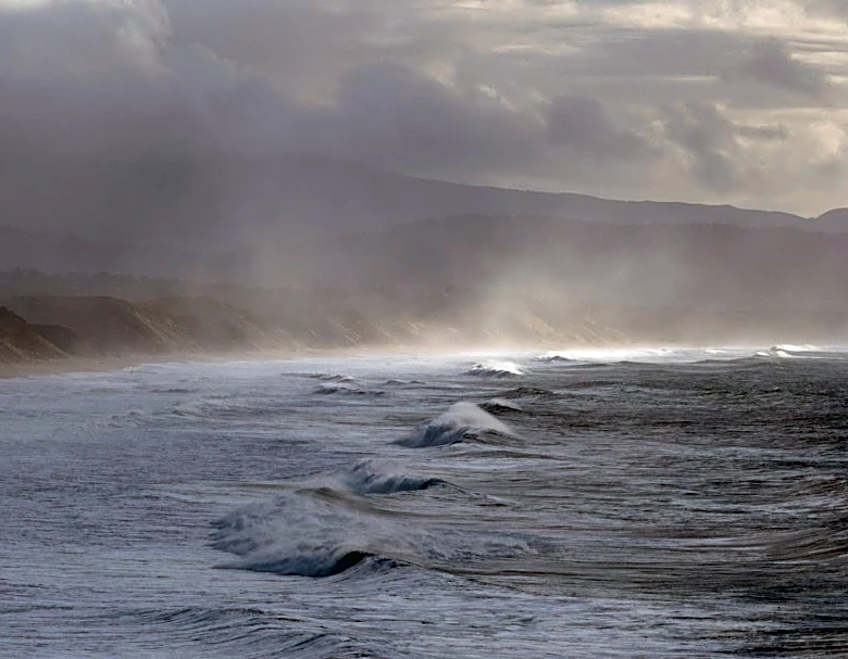 Dense Fog Advisory Issued for Monterey Bay Area