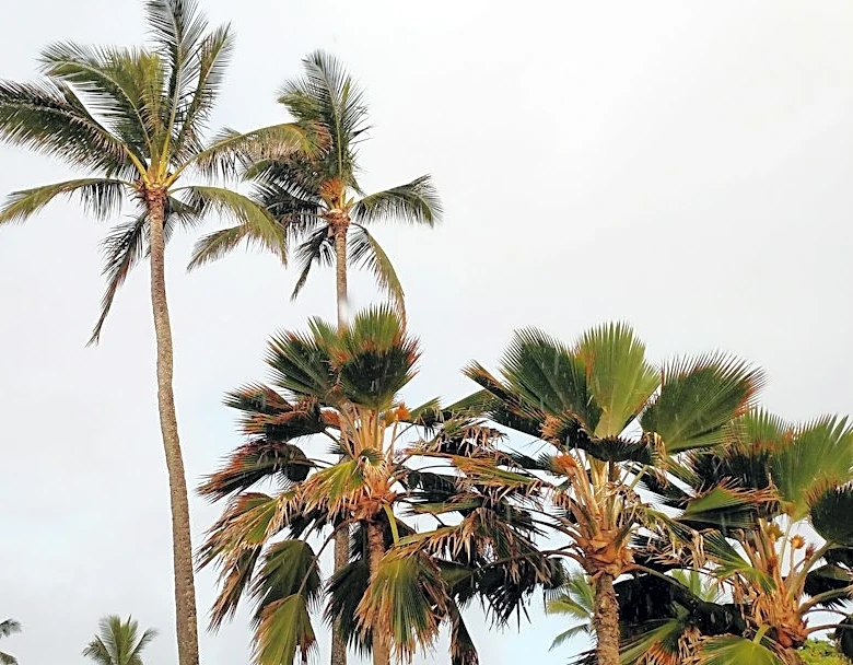Hurricane Nolo Brings Rain and Winds to Kauai