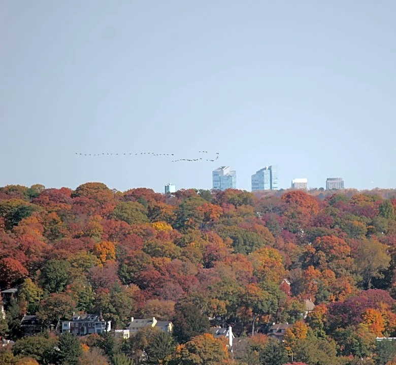 Warmer October Expected in New Jersey, NOAA Reports