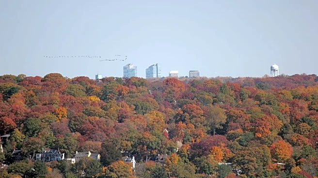 Warmer October Expected in New Jersey, NOAA Reports