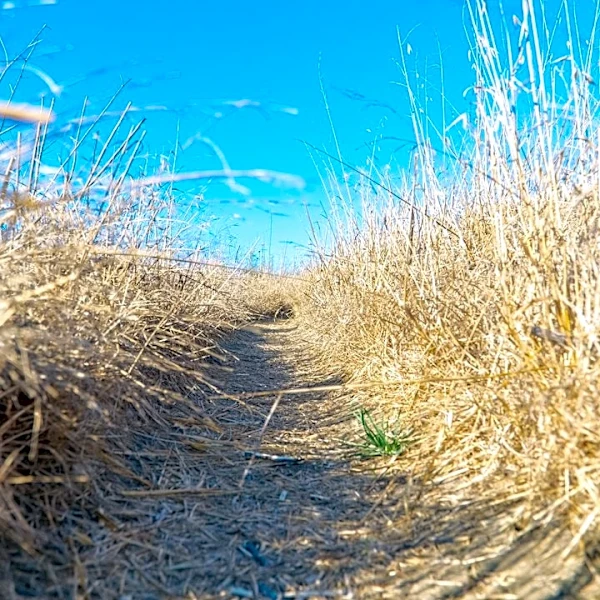 Extreme Heat Watch Issued for Orange County Area
