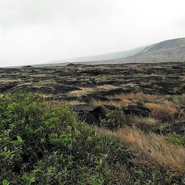 Hawaiʻi Storms Expose Aging Water Infrastructure Issues