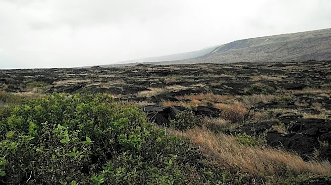 Hawaiʻi Storms Expose Aging Water Infrastructure Issues