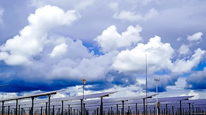 CETI Highlights Key Developments in Energy Transition and Upcoming Events