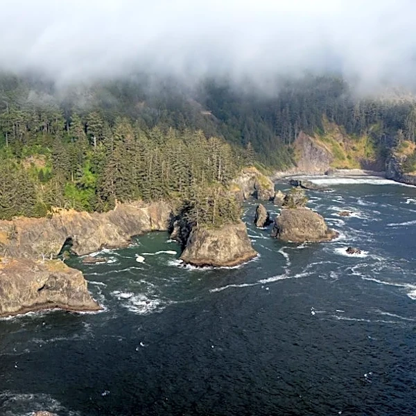 Wildfire Threats to Aquatic Ecosystems in Pacific Northwest