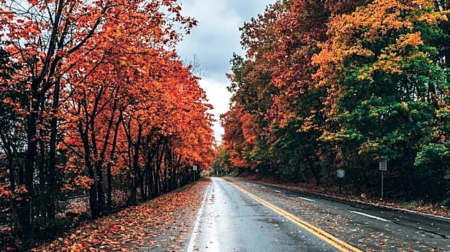Cool and Wet! Almanac's October Forecast Is Out
