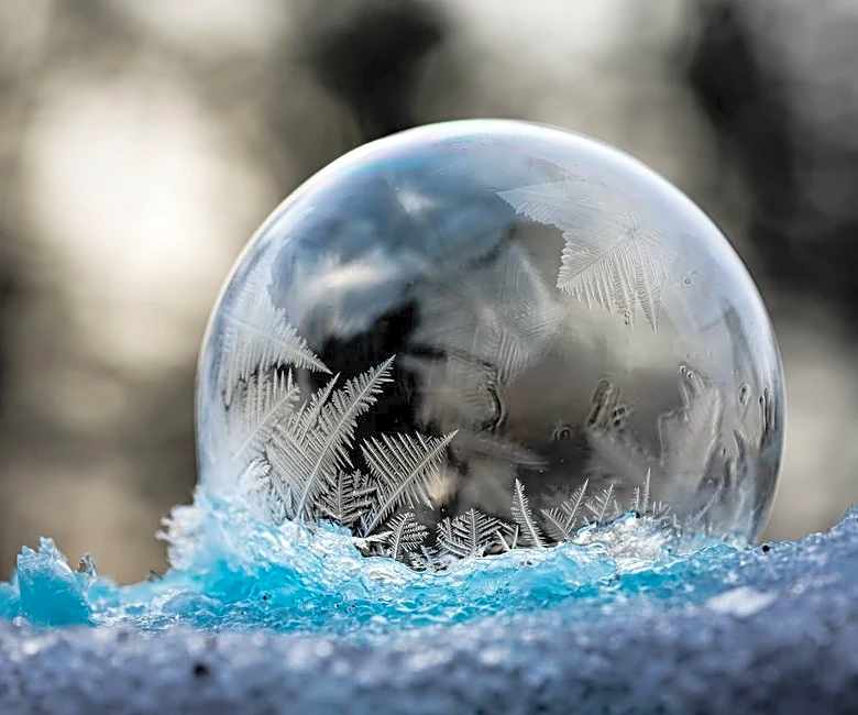 What If Earth Froze Overnight? Would Life Survive?
