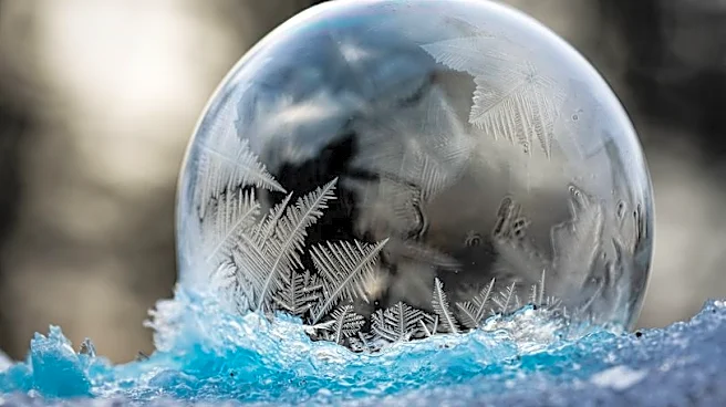 What If Earth Froze Overnight? Would Life Survive?