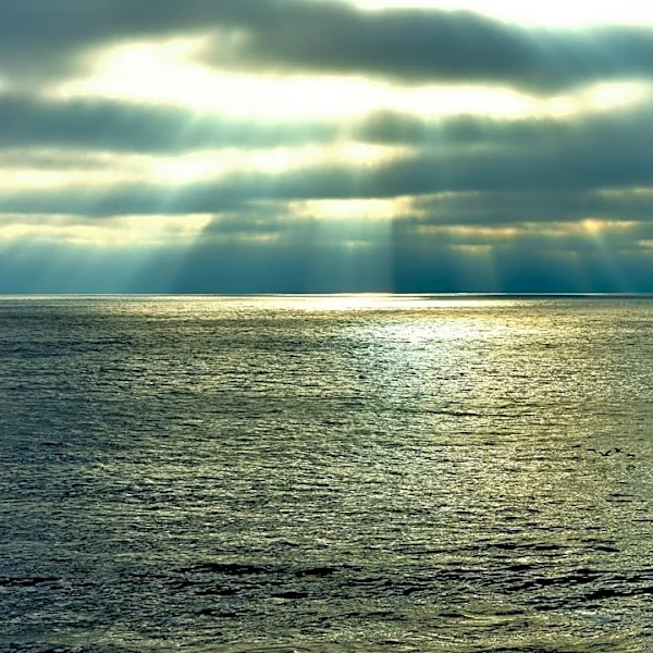 San Diego Prepares for Strong El Niño Season