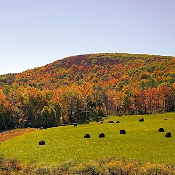 Fall Colors to Peak Early in La Crosse This October