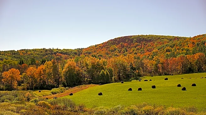 Fall Colors to Peak Early in La Crosse This October