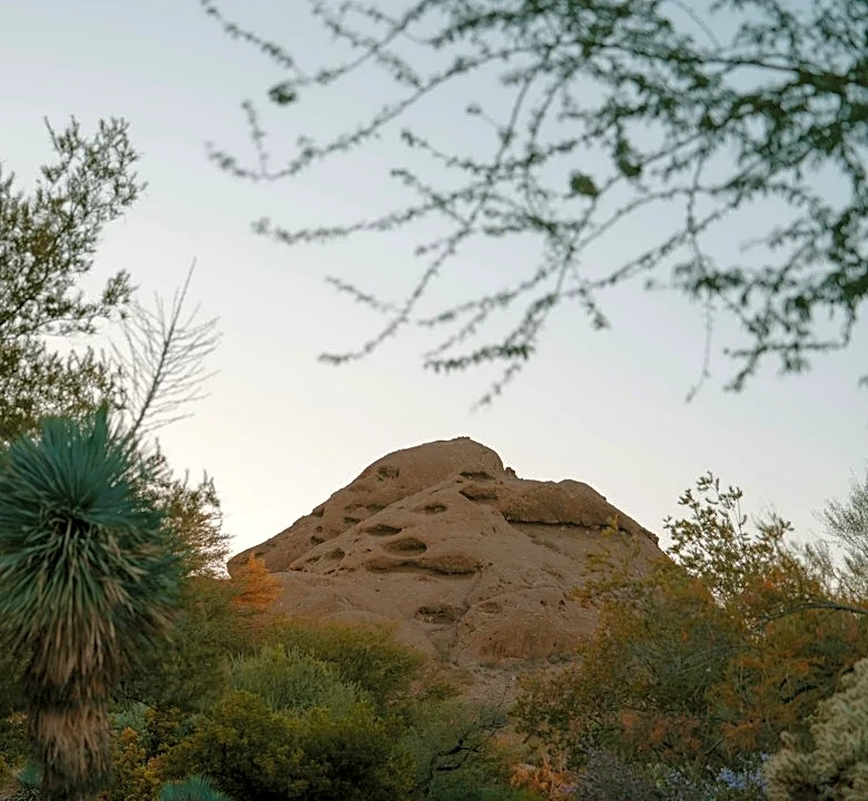 Phoenix Sees Mild Heat for October Concert Night