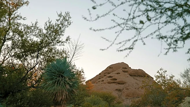 Phoenix Sees Mild Heat for October Concert Night