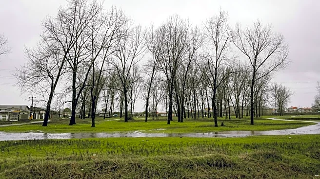 Evacuation Orders Lifted in Southern New Mexico After Flooding