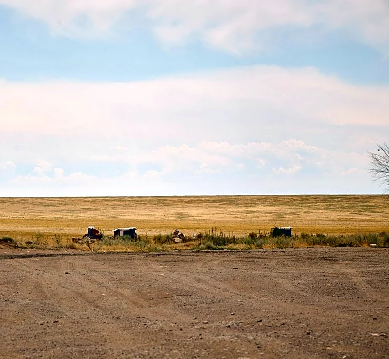 Drought Persists Across U.S. Cattle Regions