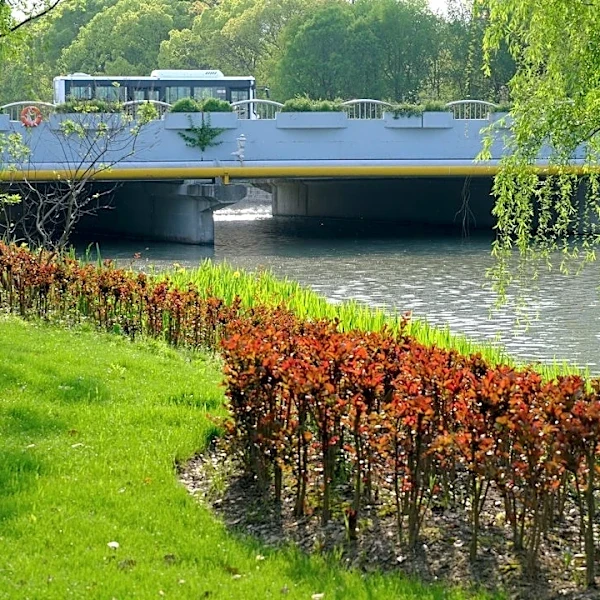 Detroit Expands Green Infrastructure to Combat Flooding
