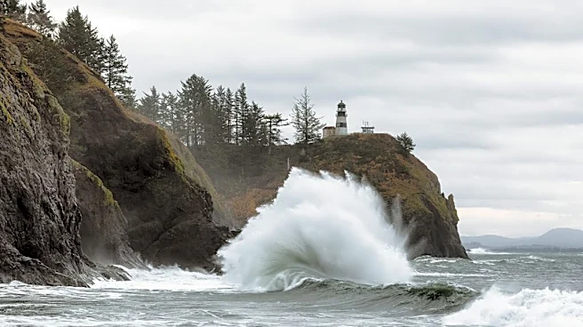 4.2-Magnitude Earthquake Strikes Kitsap Peninsula, Washington