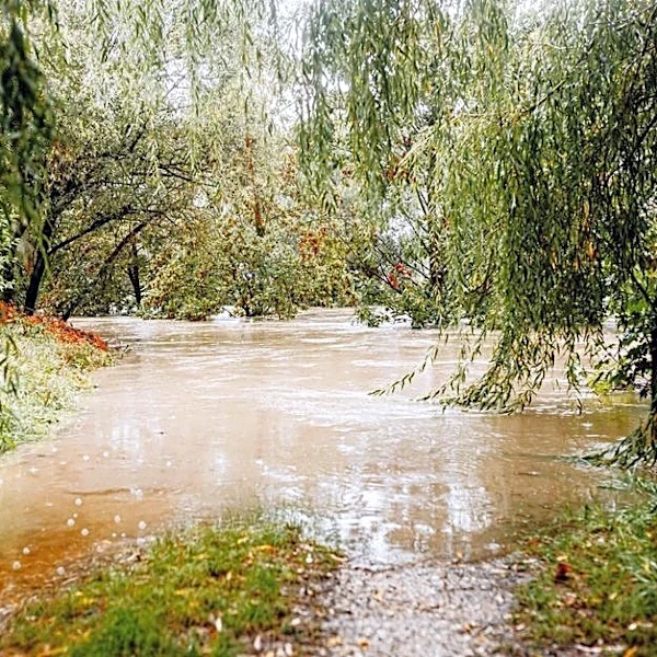 Hurricane Rachel Is Adding Fuel to a US Flood Threat