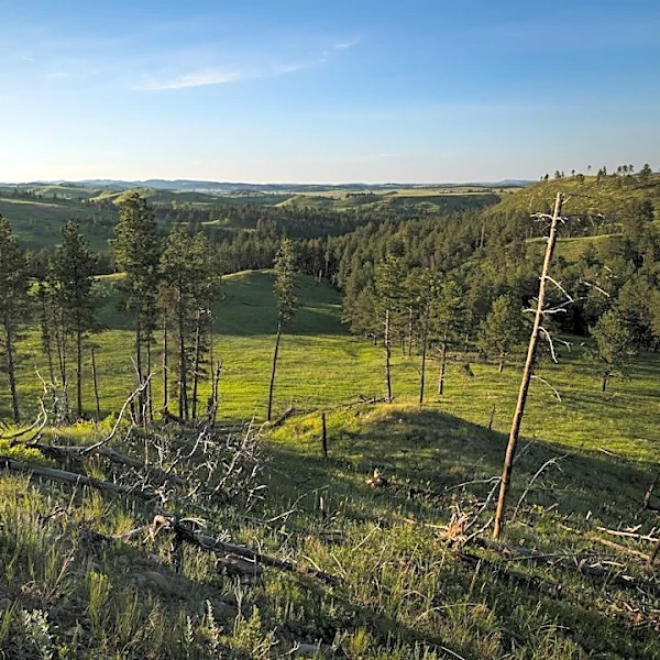 South Dakota Wildfires: 721 Acres Impacted