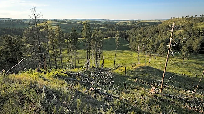 South Dakota Wildfires: 721 Acres Impacted