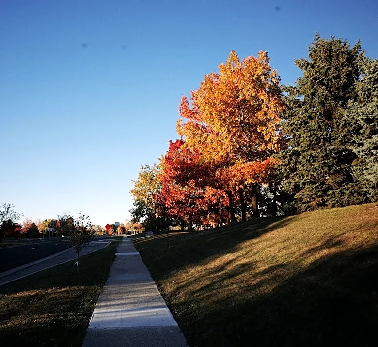 Prepare Your HOA for Winter: Fall Maintenance Tips