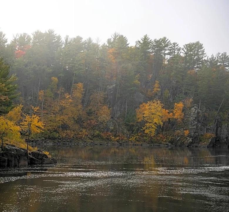 Understanding Minnesota's Fall Colors: Timing and Influences