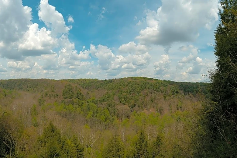 Fall Fire Season Begins in West Virginia, Ohio