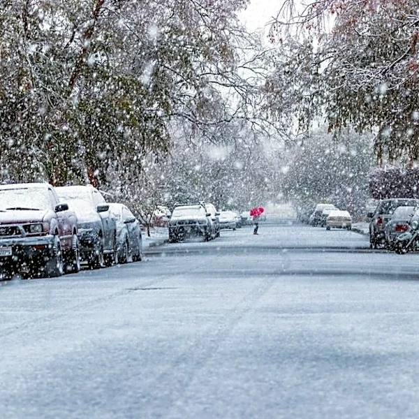 NOAA Shows Where El Niño Could Boost Winter Snow