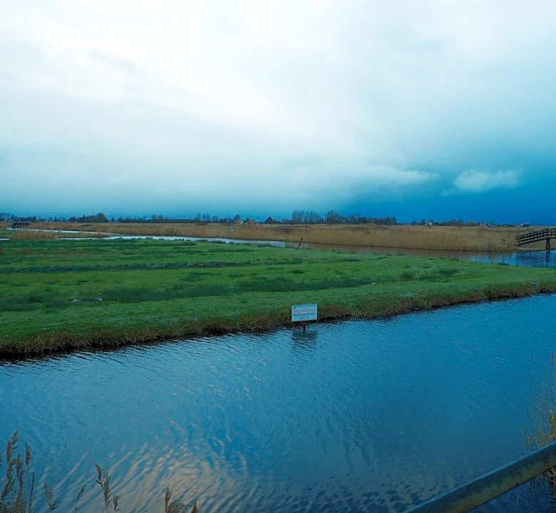 Heavy Rain Triggers Flooding in Central Texas' Hill Country