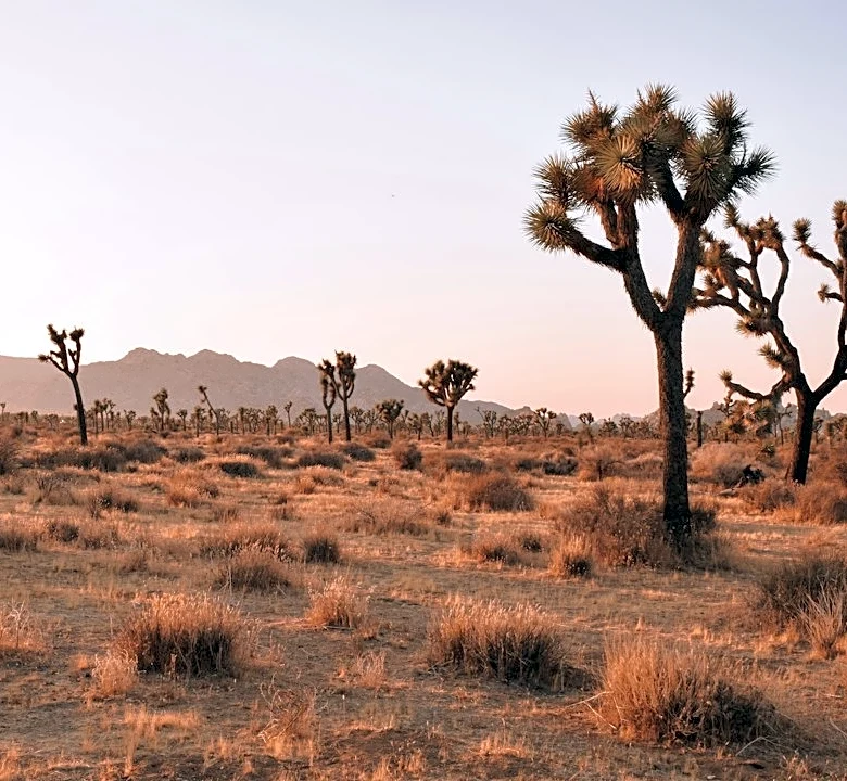 Phoenix Temperatures Rise With Dry Weekend Ahead