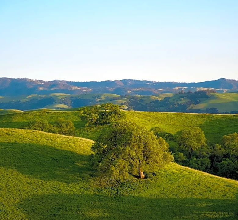 Northern California Sees Unseasonably Warm Start to October